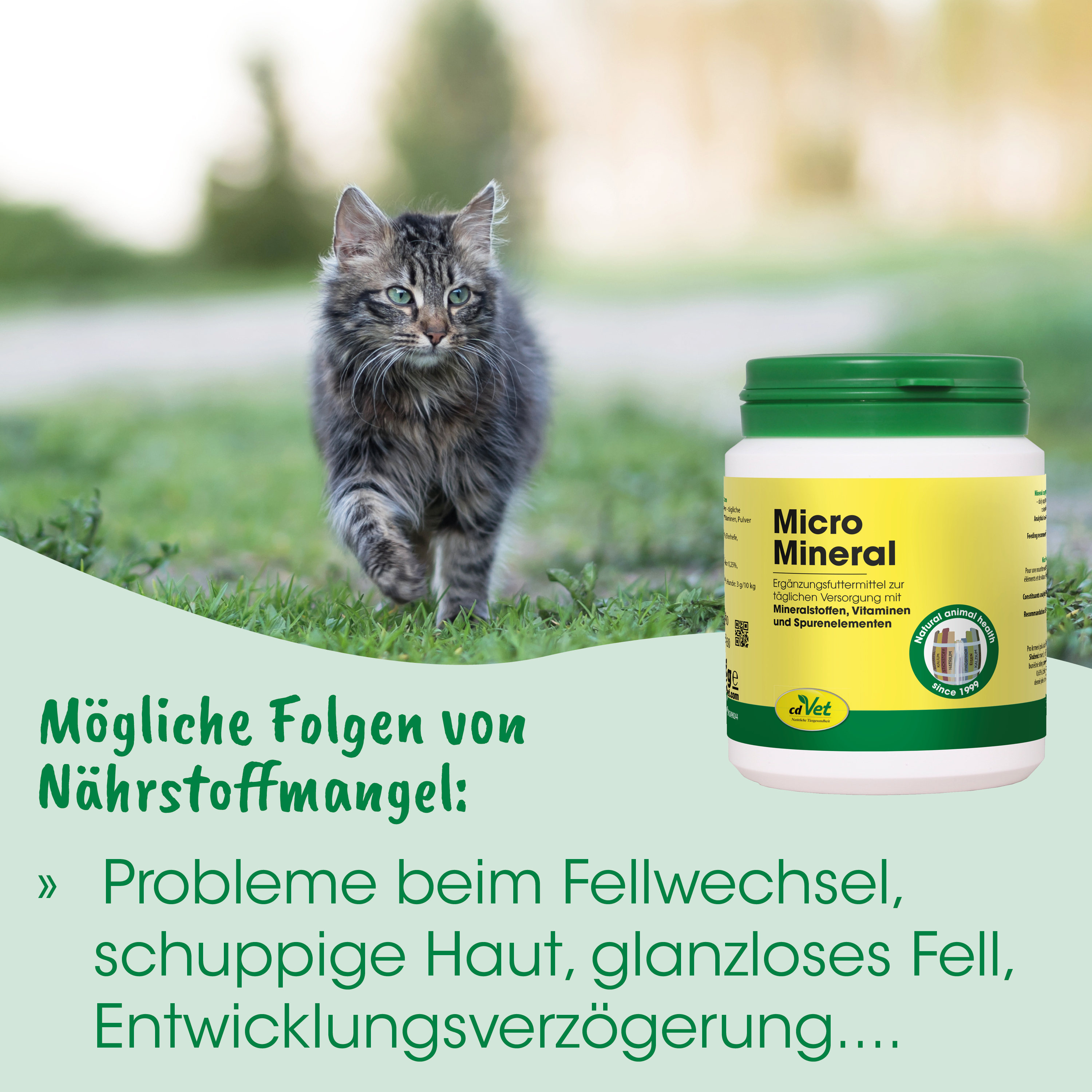 Katze, Tier, Katzenfutter, Mineralergänzung, grüner Deckel