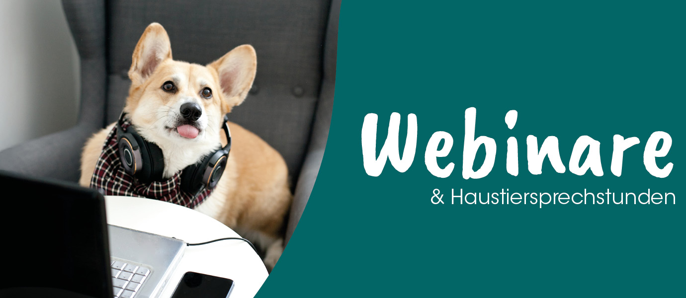 Hund, Haustier, Laptop, PC, Zubehör