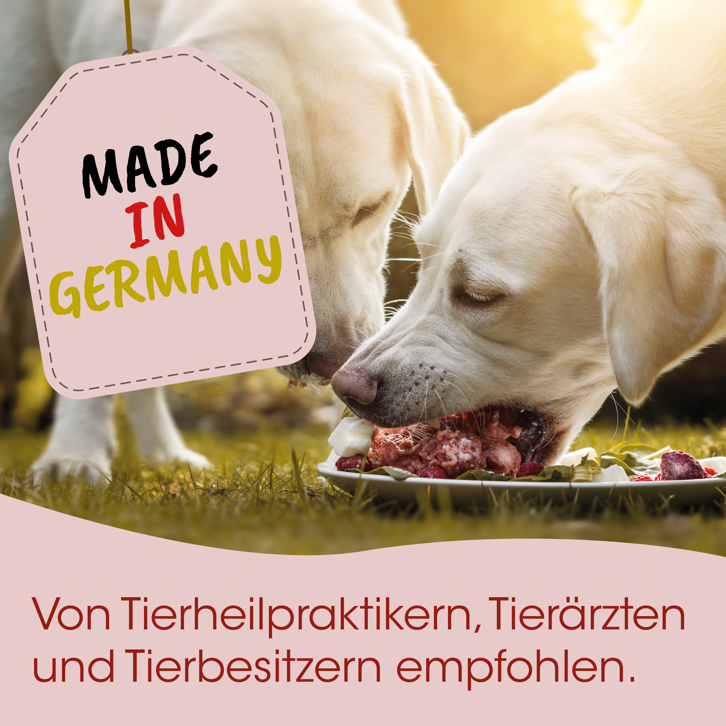 Hundefutter, Rindfleisch, Trockenfutter, Hundeernährung, Germany-made