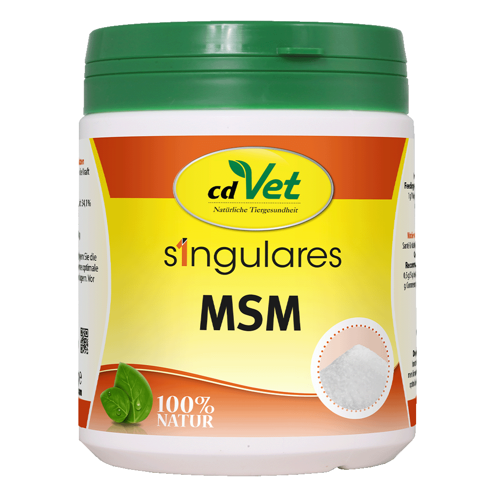 Essen, Mayonaise, Kräuterig, Kräuter, Pflanze