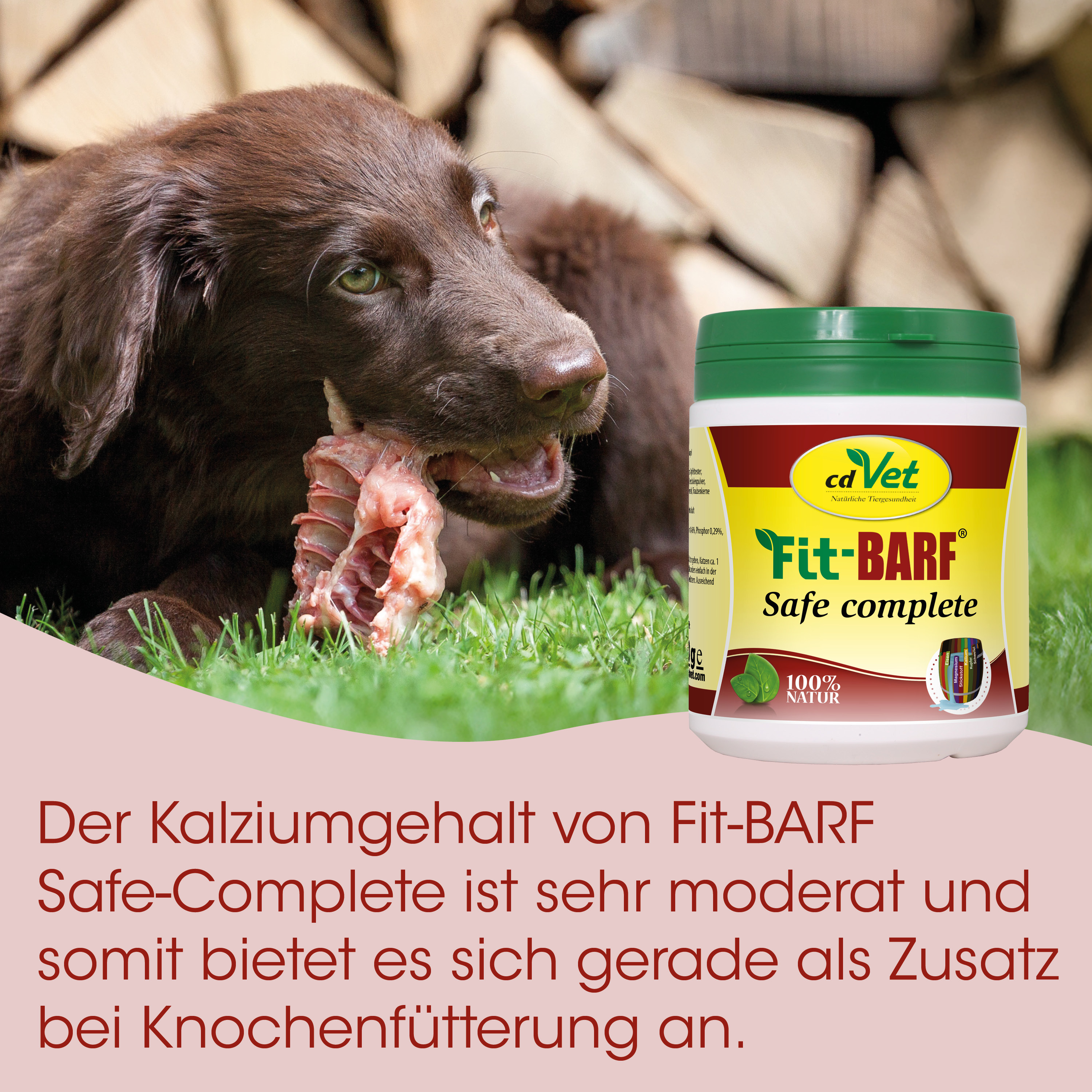 Hund, Knochen, Hunde-Futter, Tiernahrung, Kalzium