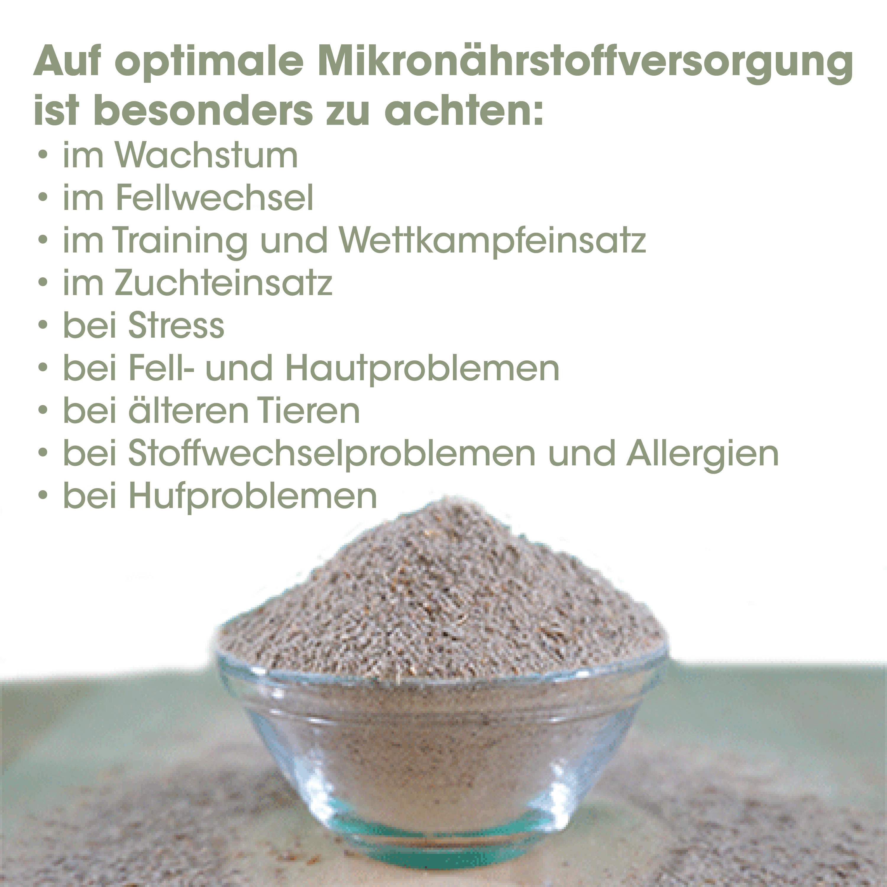 Mehl, Kleingrund, Mikro-Nährstoffe, Schüssel, Pulver