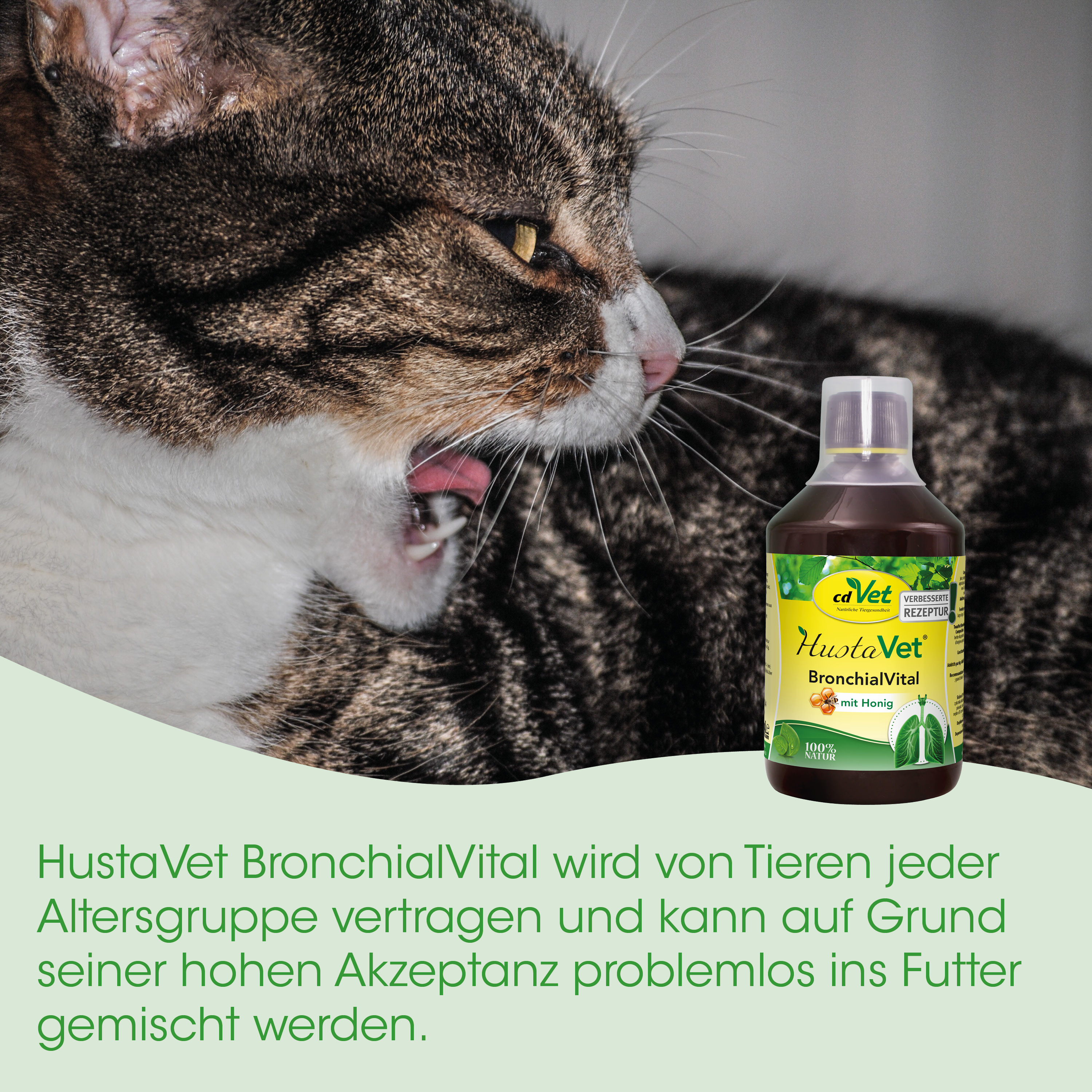 Katze, Tiergesundheit, BronchialVital, Sirup, Flasche