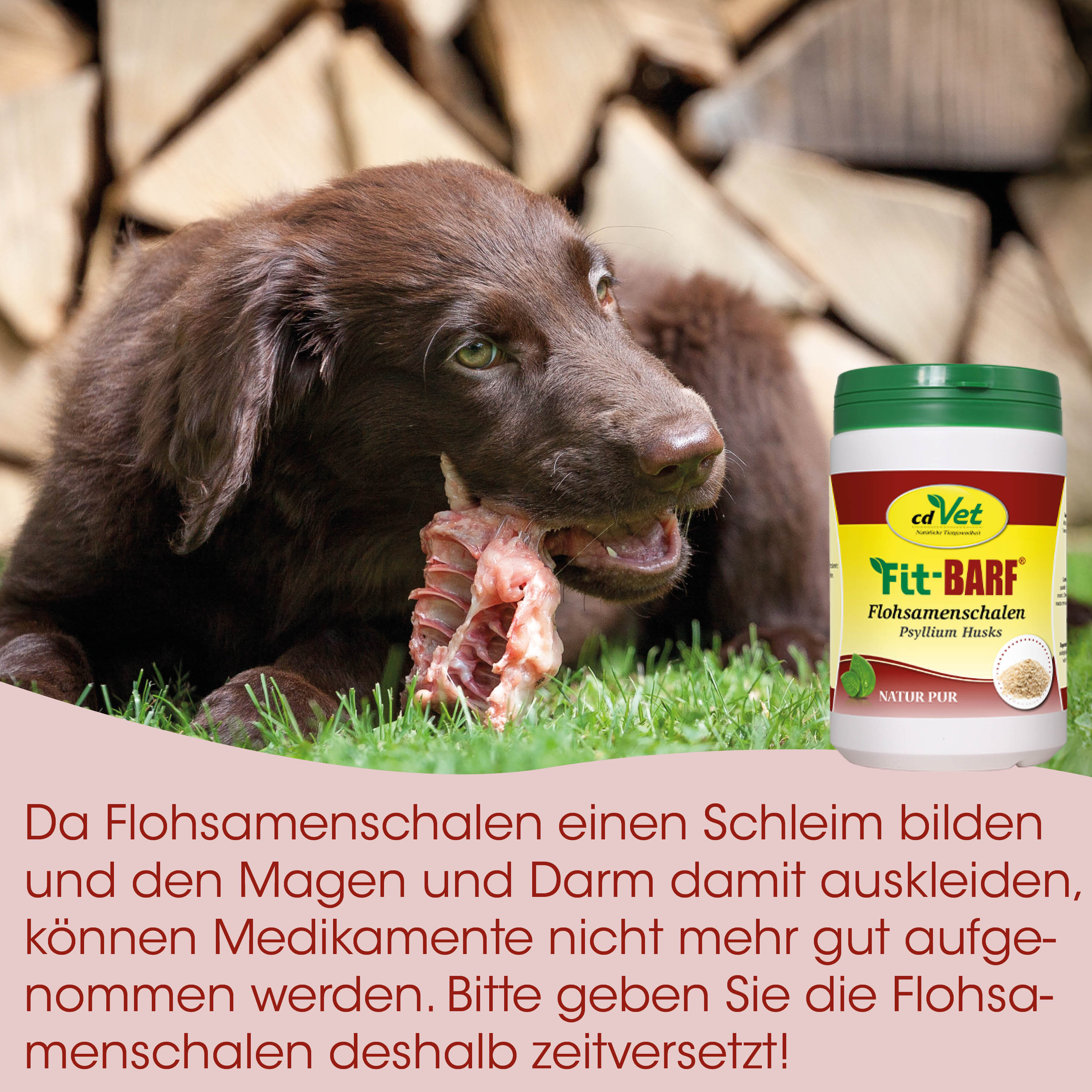 hund, kauen, knochen, haustierprodukt, packung