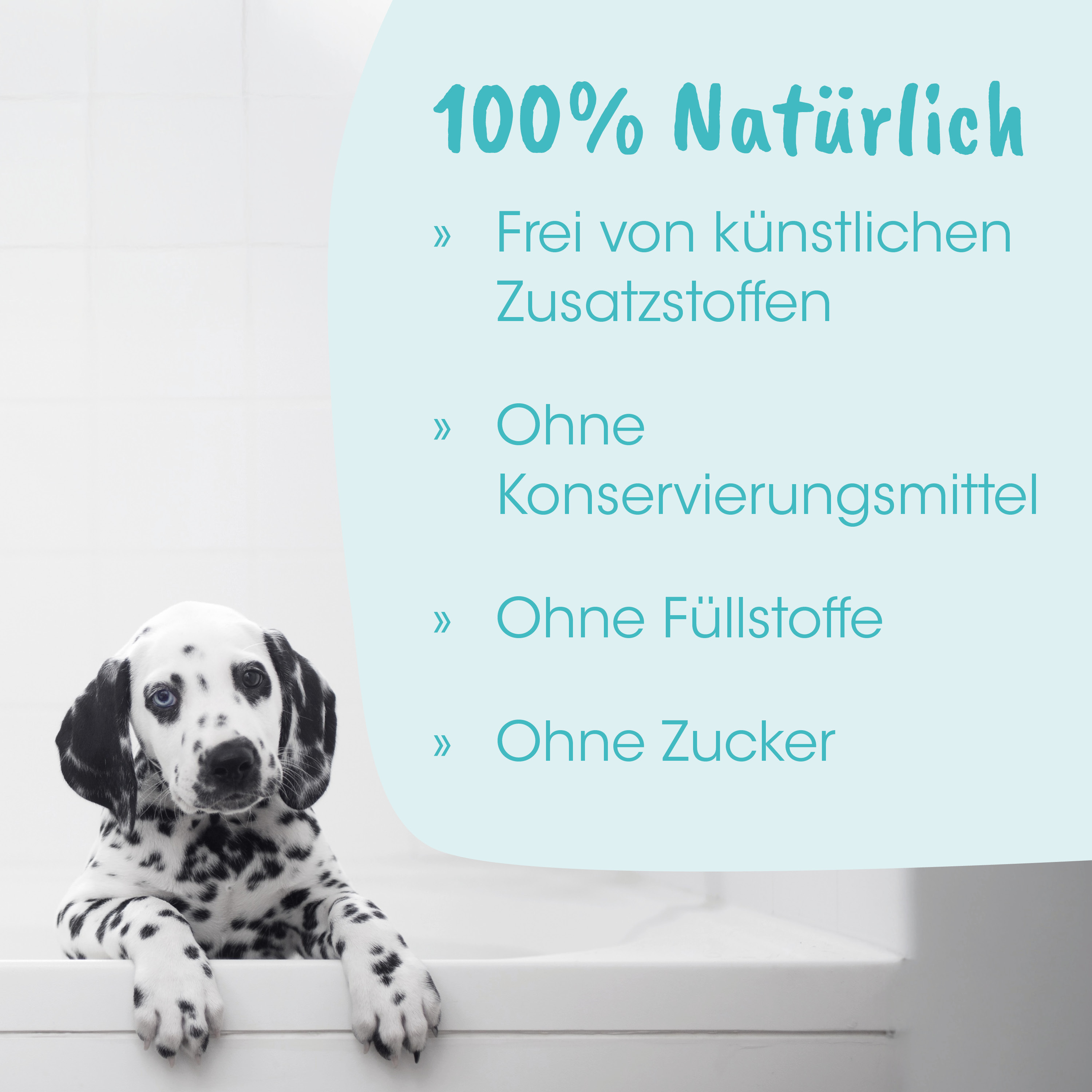 Dalmatiner, Welpe, Hund, Punkte, Tier