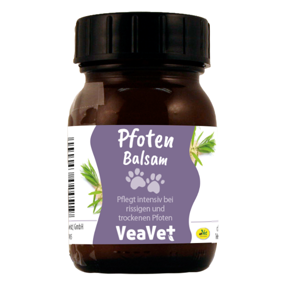 Kräuter, Pflanze, Essen, Würzen, Sirup