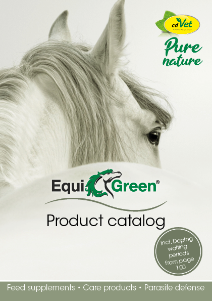 Broschüre Horse, A5