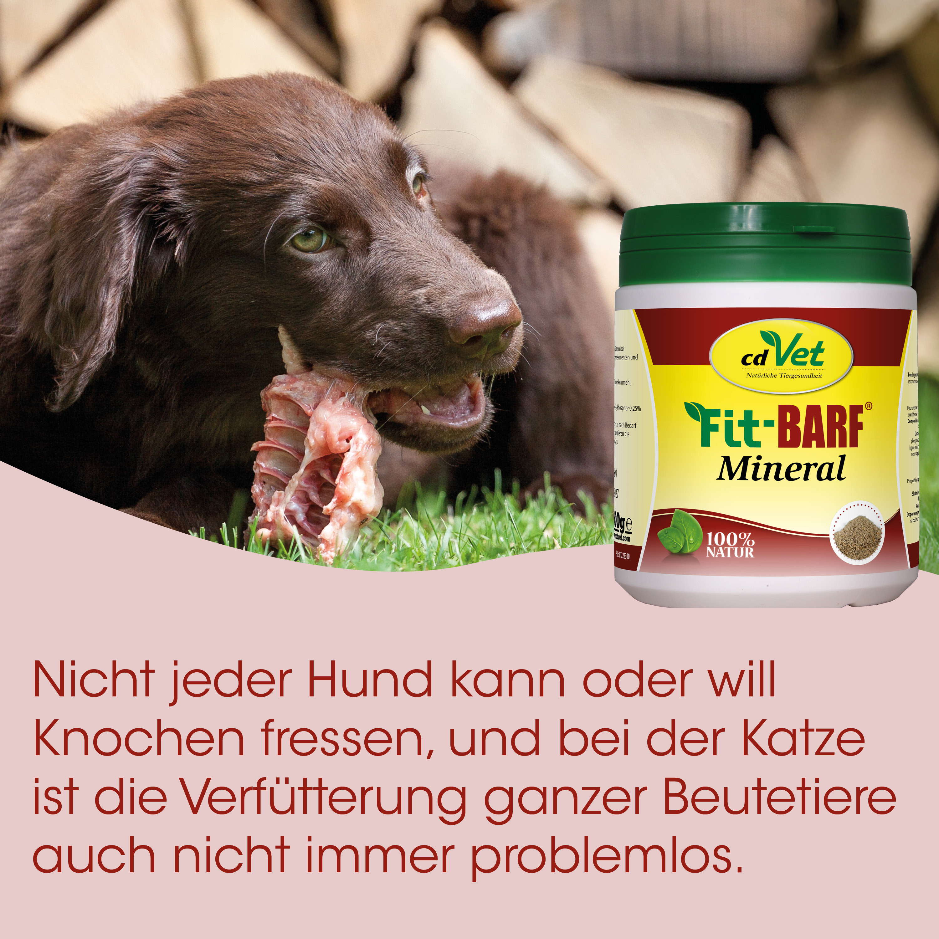 Hundesnack, Knochen, Rohhaut, Tiernahrung, Mineralergänzung