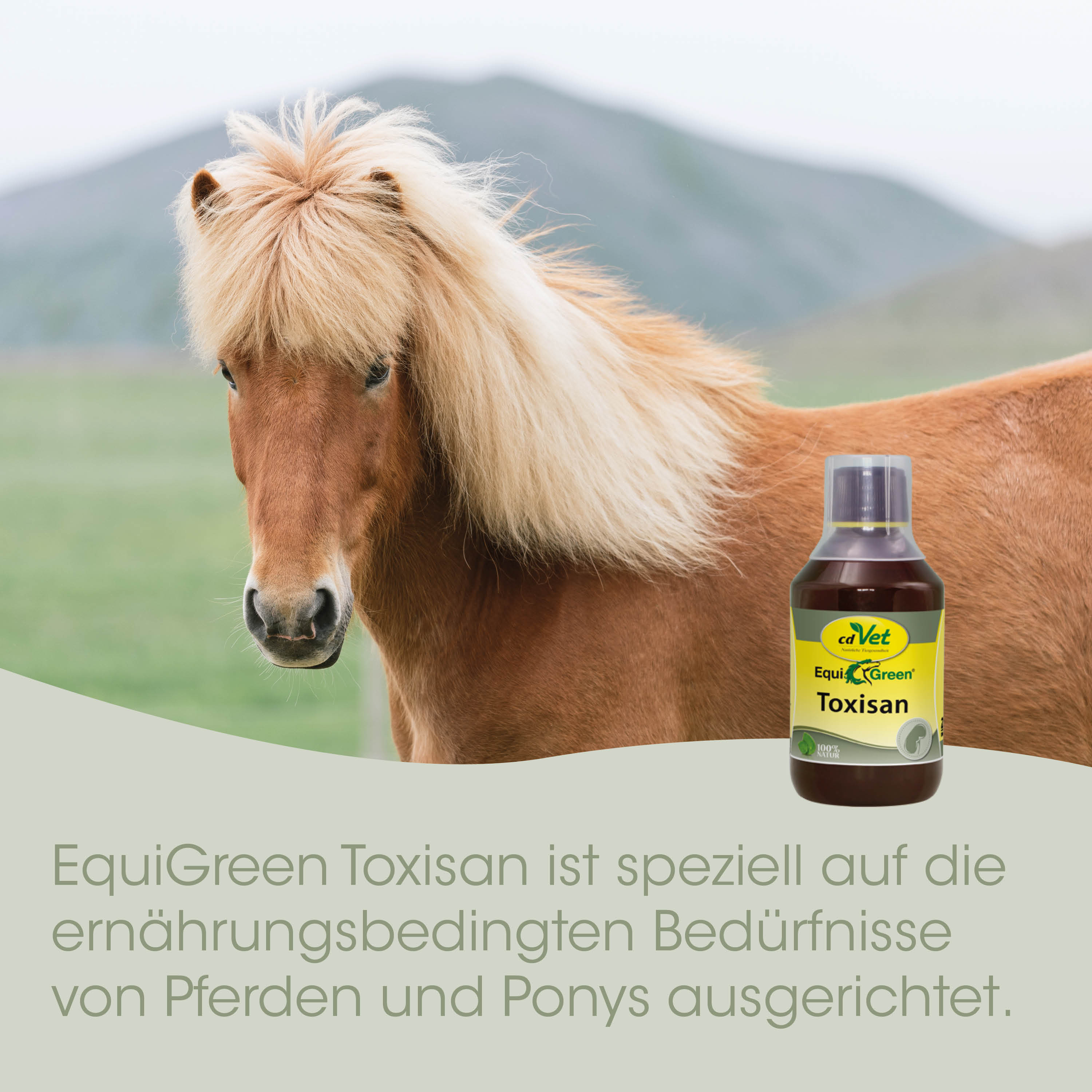 Pferd, Ponys, Hufpflege, Toxisan, Futtermittel