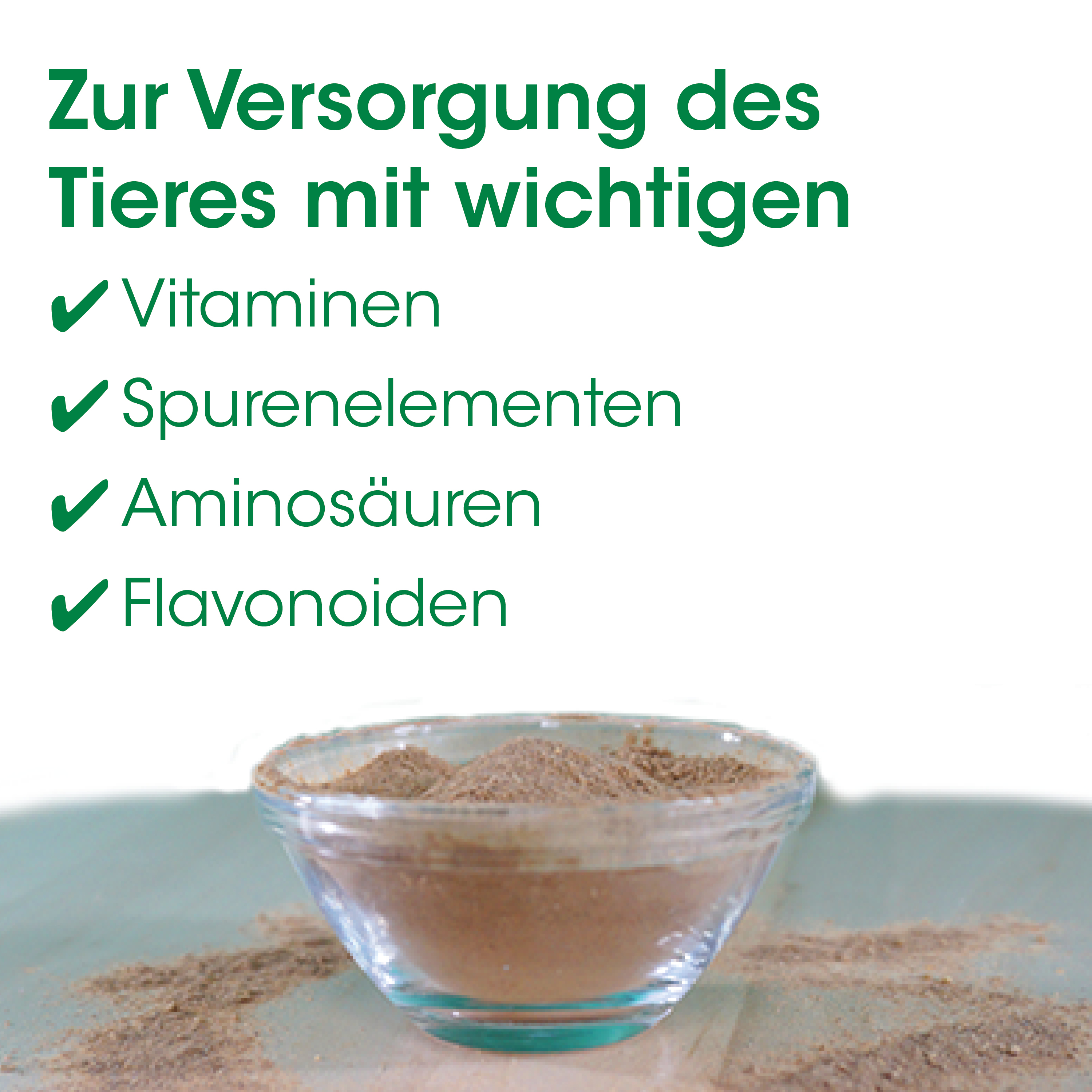 Kakao-Pulver, Kakaopulver, Kakaostoff, Gewürzzutat, Pulver