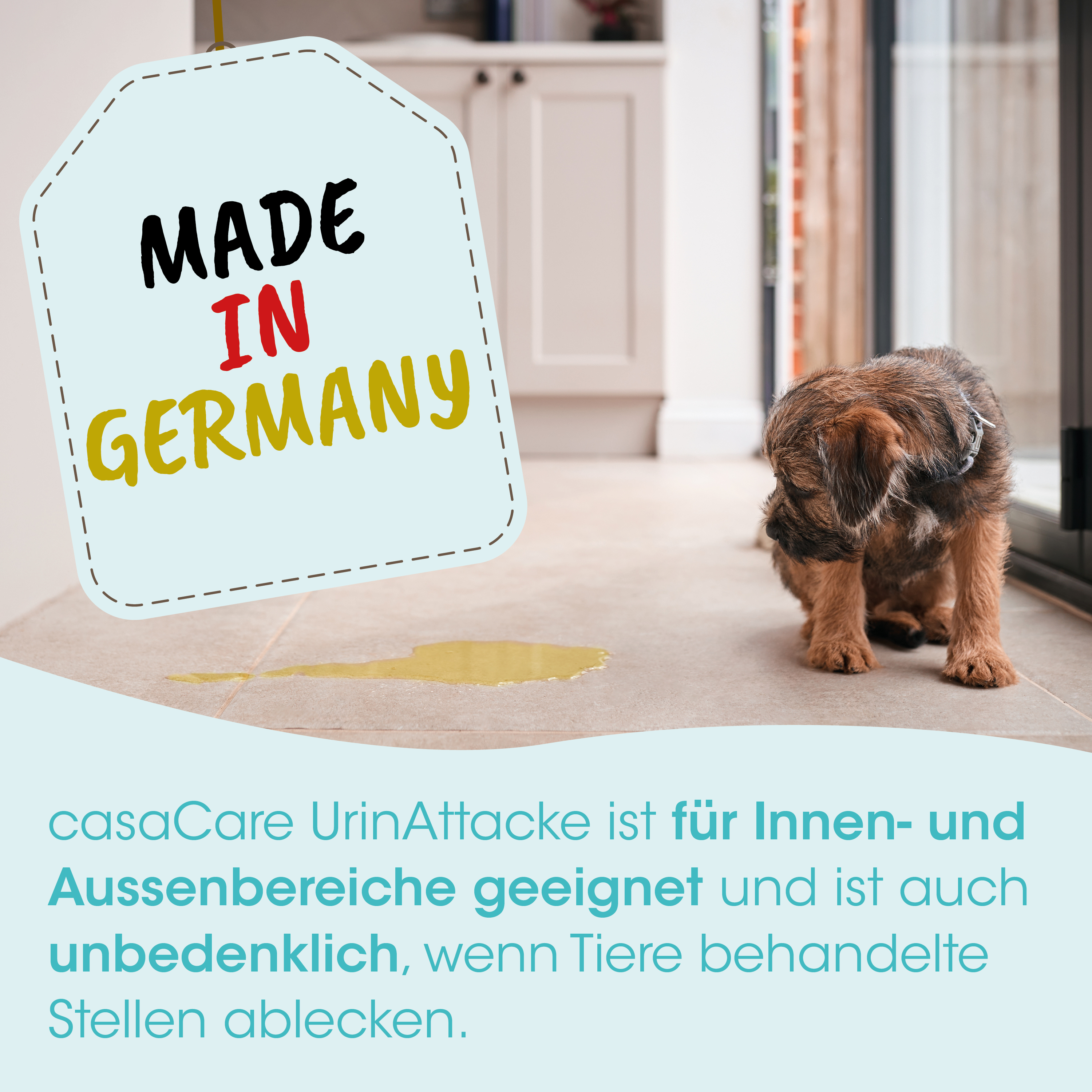 Hund, Tierprodukt, Haustierpflege, Nassfussboden, Urinreste