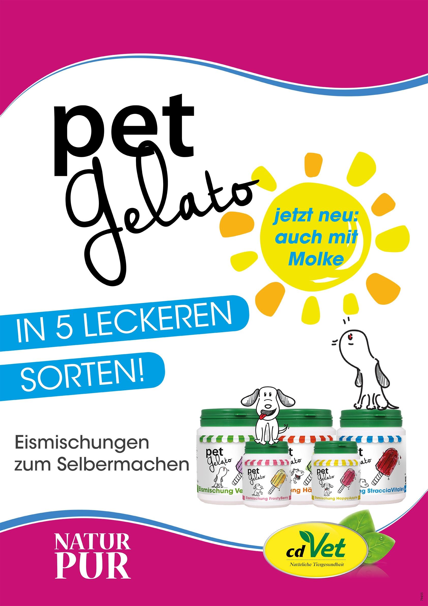 Plakat PetGelato
