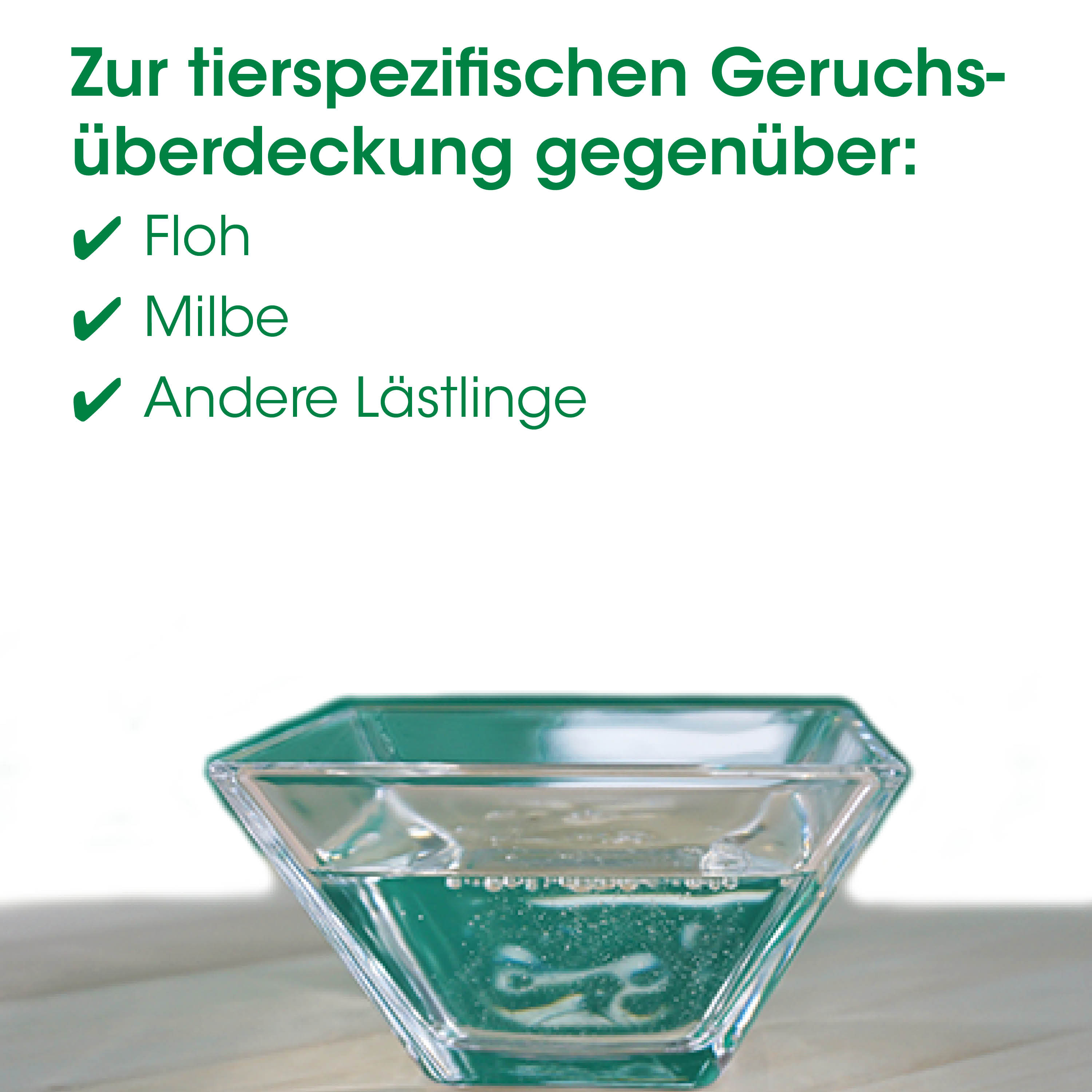 schüssel, glas, grün, diamantform, 透明