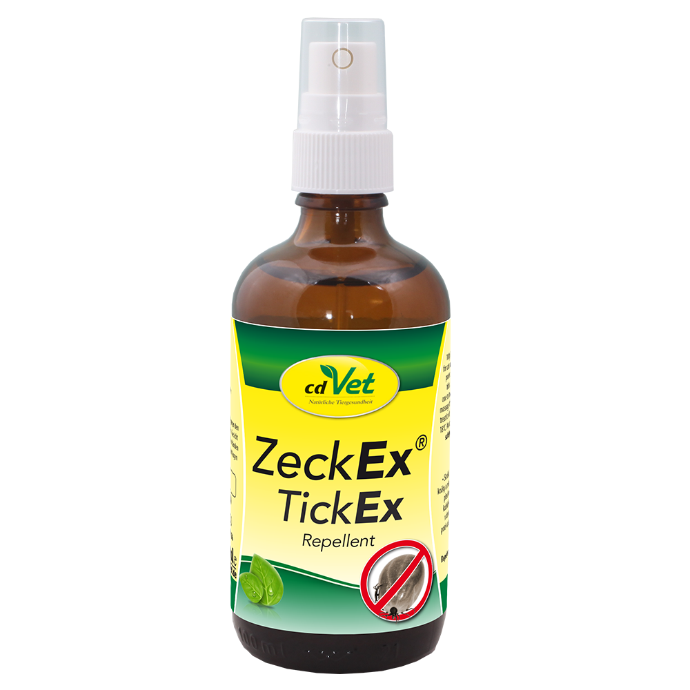 Essen, Würzen, Sirup