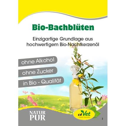 Plakat Bachblüten